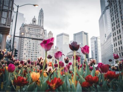 Tips for Spring Building Maintenance in Chicago
