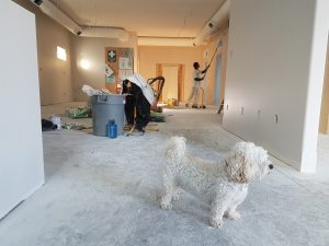 unit owner issues your property manager isnt responsible for